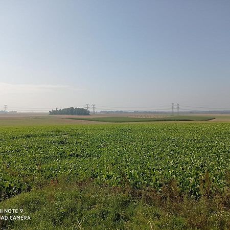 Pulilane Hotel Le Torp-Mesnil Buitenkant foto