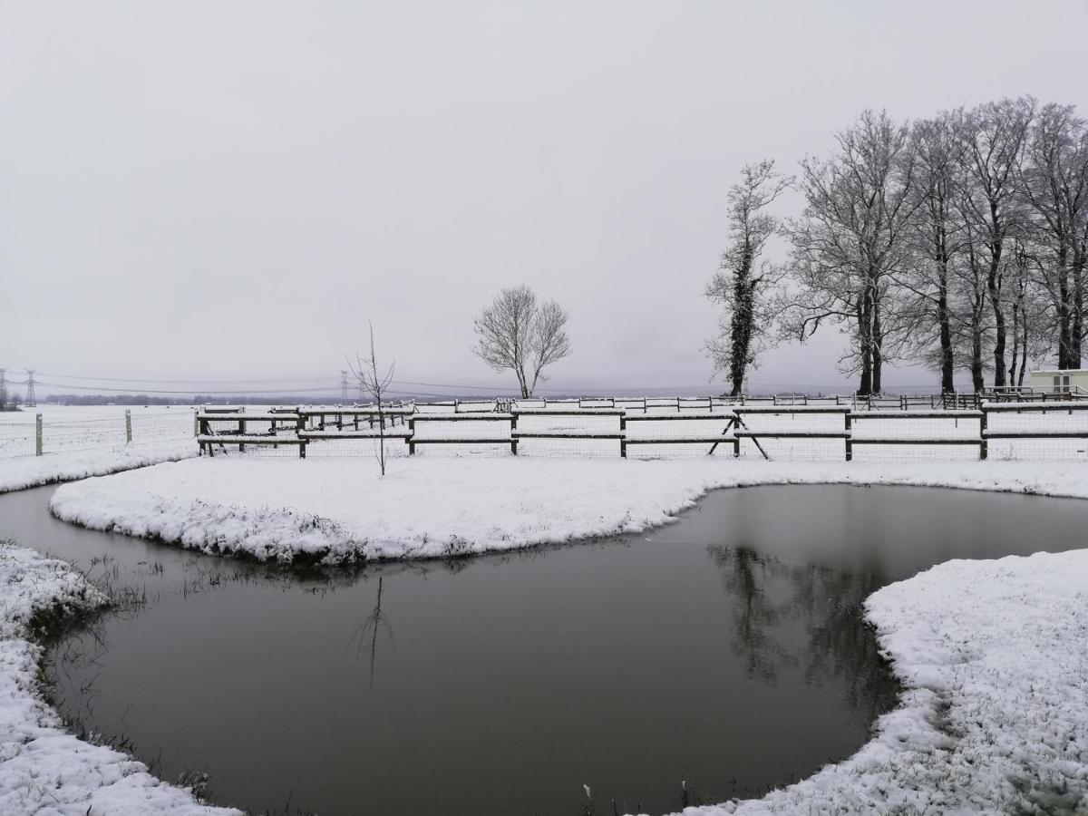 Pulilane Hotel Le Torp-Mesnil Buitenkant foto
